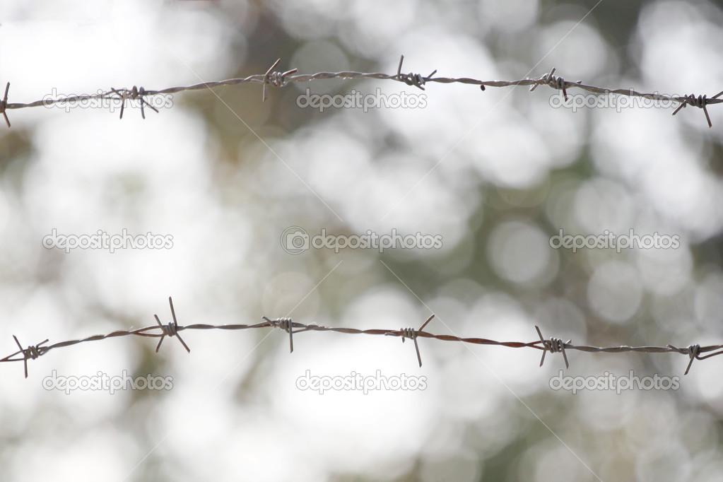barbed wire fence.