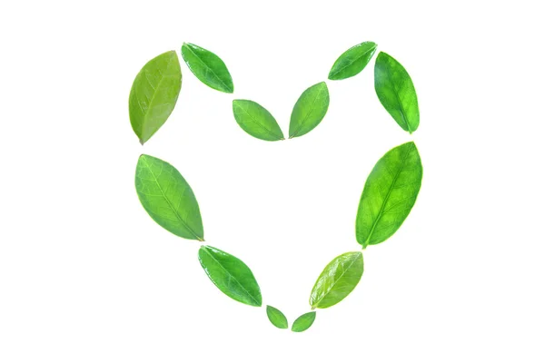 Green leaves at Sequence is heart. — Stock Photo, Image