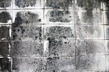 eski çimento duvar dokusu.
