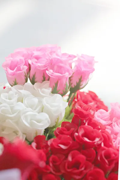 Rosas rojas y blancas. — Foto de Stock