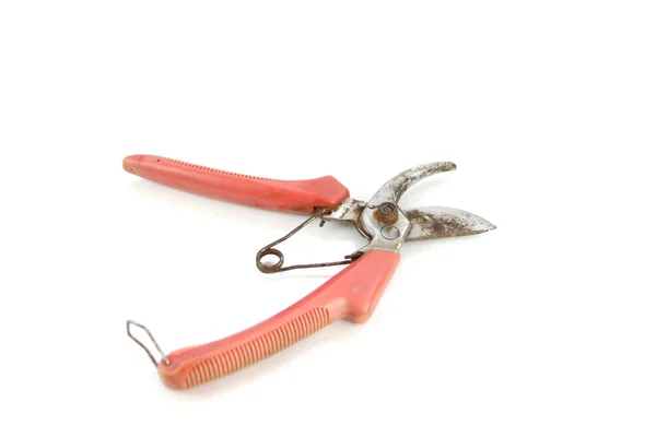 Old Pruning Shears tool isolated. — Stock Photo, Image