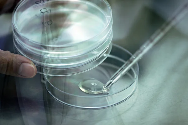 Pipette adding fluid water to test tubes. — Stock Photo, Image