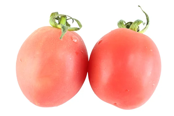 Tomates rojos aislados . —  Fotos de Stock