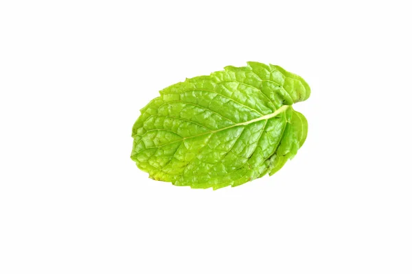 Hoja de menta de pimienta aislada . —  Fotos de Stock