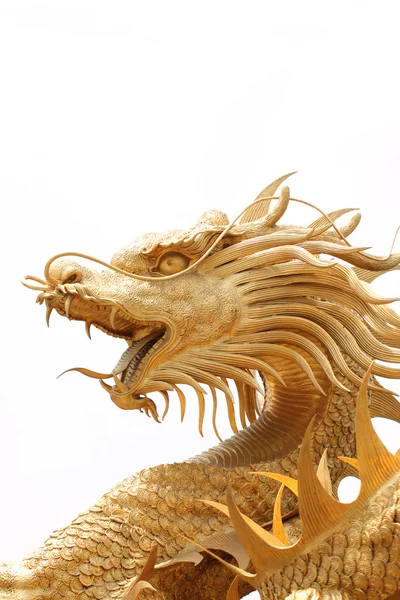 Head Golden dragon statue. — Stock Photo, Image
