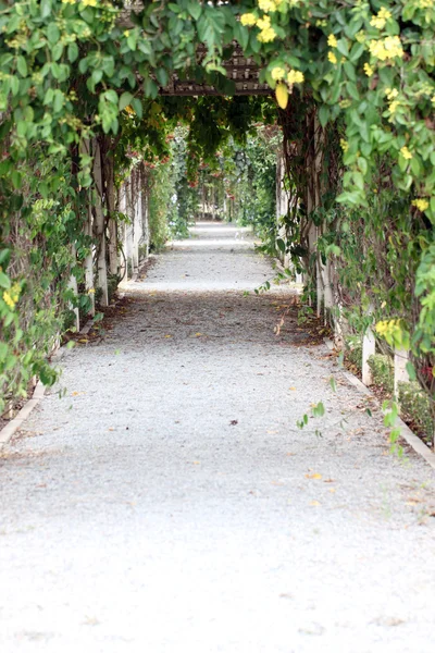 Weg im Gemüsegarten. — Stockfoto