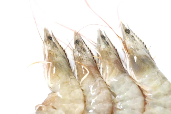 Raw many Shrimp on white. — Stock Photo, Image