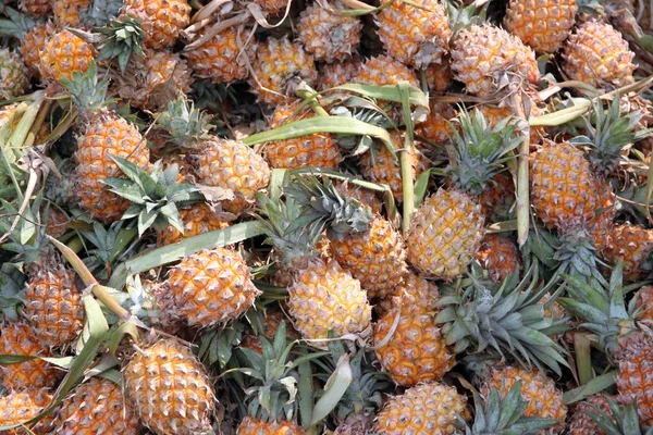 水果市场许多成熟的菠萝的堆栈. — 图库照片