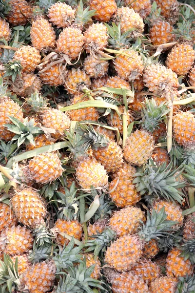 Stapel van vele rijp ananas in de markt voor fruit. — Stockfoto