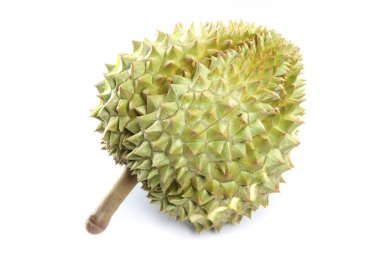 Olgun durian beyaz zemin üzerine izole.