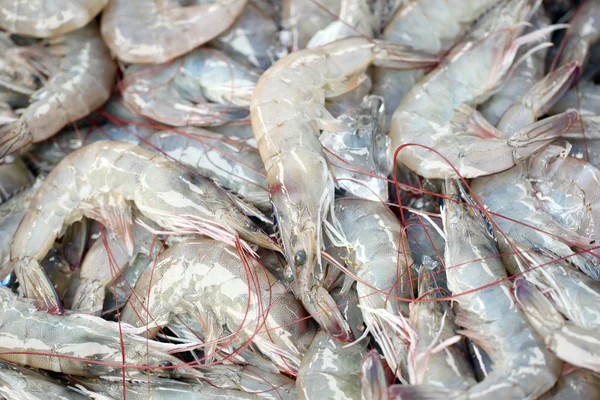 Čerstvé krevety v rybí trh. — Stock fotografie