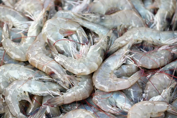 Fresh shrimps in seafood market. — Stock Photo, Image