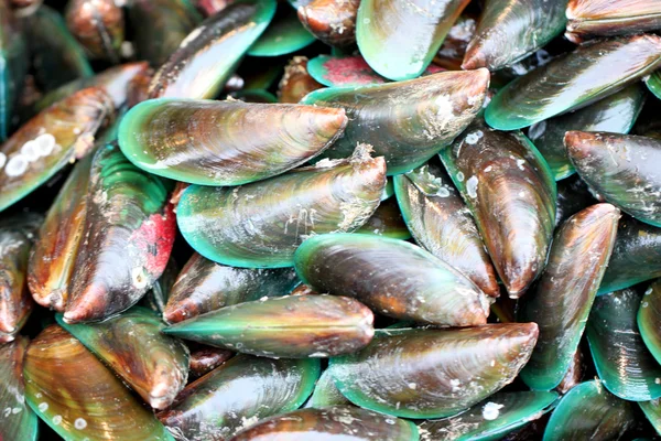 Mexilhão verde no mercado de frutos do mar . — Fotografia de Stock