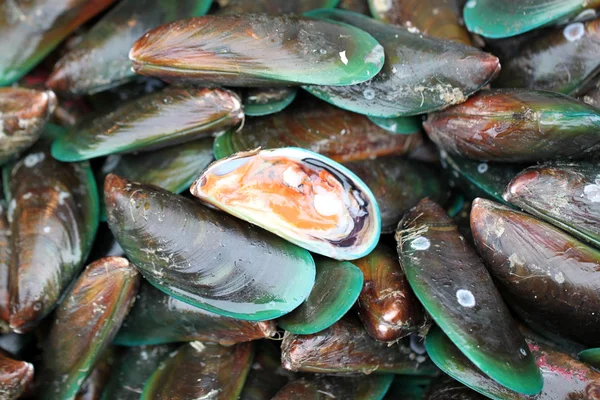 Mexilhão verde no mercado de frutos do mar . — Fotografia de Stock