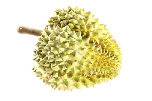 Ripe durian isolated on white background. — Stock Photo, Image