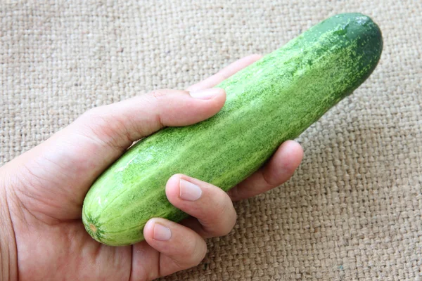 Légume de concombre à la main sur sac . — Photo