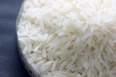 petrie makro deneysel pirinç tahıl.