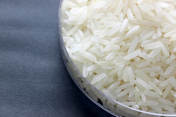 Rice grain in petrie experimental of macro. — Stock Photo, Image
