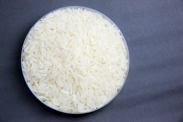 A kísérleti petrie rizsszemek. — Stock Fotó