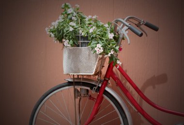 kırmızı bisiklet ve pembe çiçekler.