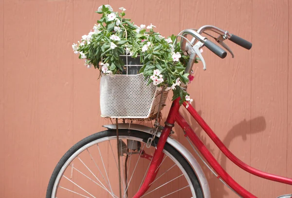 Rode fiets en roze bloemen. — Stockfoto