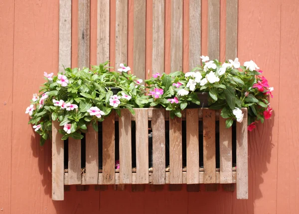 Hnědé dřevěné stěny a růžové květy. — Stock fotografie