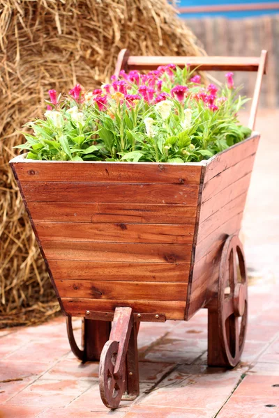 Viejo carro de madera plantado flores . — Foto de Stock