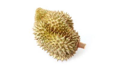 Durian yerel meyve izole.
