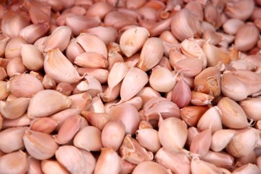 Pazarda sarımsak.