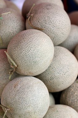 Birçok yeşil kavun.