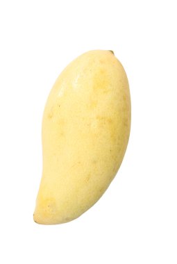 izole, taze olgun mango.