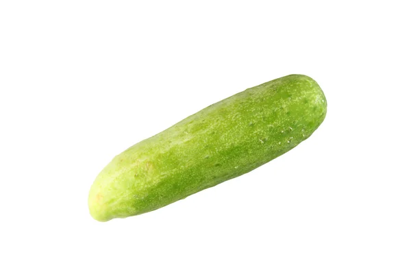 Fresh cucumber of isolated. — Stock Photo, Image