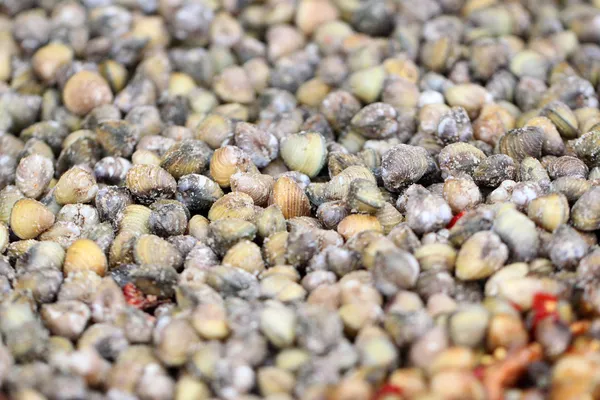 Amêijoas de água doce misturar com molho picante . — Fotografia de Stock