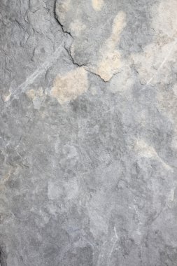 eski taş kaldırım Bahçe doku.