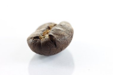 Beyaz kahverengi kahve çekirdekleri.