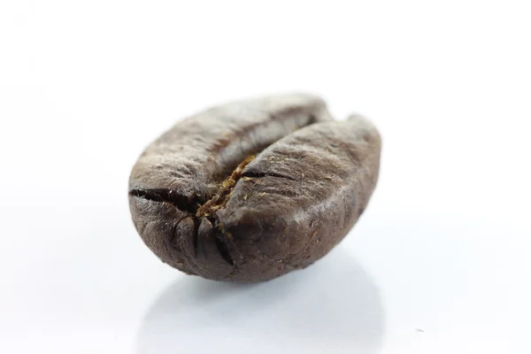 Brown coffee beans on white. — Stock Photo, Image