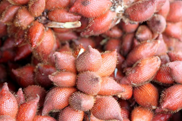 La fruta wallichiana de Salacca . — Foto de Stock