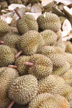 durian taze meyve.