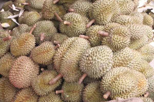 Färsk durian frukt. — Stockfoto