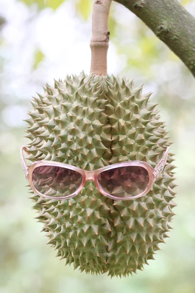 Fresh durian fruit wearing sunglasses on trees. — Stock Photo, Image