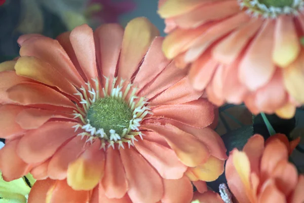 Orange flowers with fabric. — Stock Photo, Image