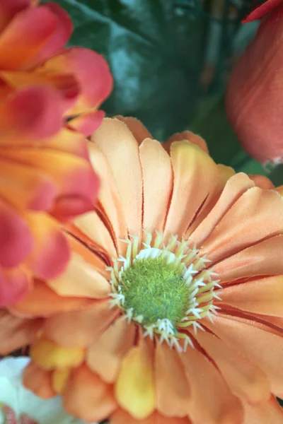 Orange flowers with fabric. — Stock Photo, Image