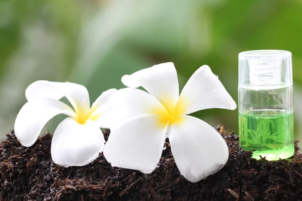 White frangipani and perfume bottle on ground. — Stock Photo, Image
