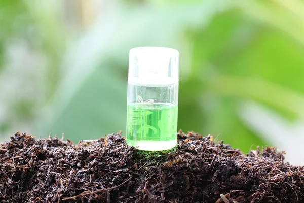 Perfume bottle on ground. — Stock Photo, Image