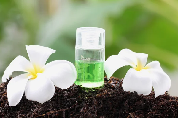 White frangipani and perfume bottle on ground. — Stock Photo, Image