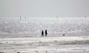 Düşük tide, deniz kıyısı.