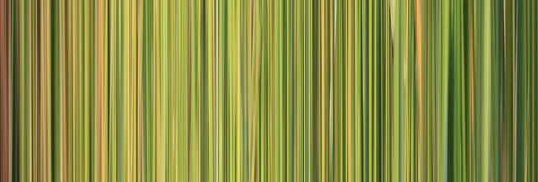Abstract Patroon Groene Strepen Voor Achtergrond Ontwerp Natuurlijke Groene Toon — Stockfoto