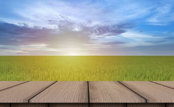 Cima Tavolo Legno Marrone Vista Delle Risaie Mattino Con Sole — Foto Stock