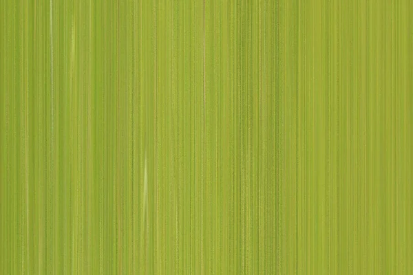 Groene Lijnen Patroon Abstracte Achtergrond Voor Een Use Design Werk — Stockfoto