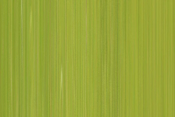 Patrón Líneas Verdes Fondo Abstracto Para Diseño Uso Trabajo — Foto de Stock